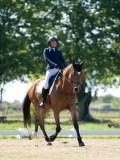 DSC07163 DSC07163