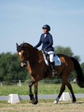 DSC07183 DSC07183
