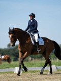 DSC07185 DSC07185
