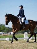 DSC07186 DSC07186