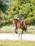 DSC08595 DSC08595