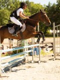 DSC07529 DSC07529