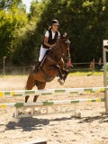 DSC07530 DSC07530