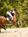 DSC07533 DSC07533