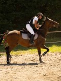 DSC07536 DSC07536