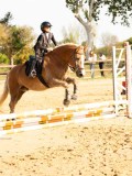 DSC07966 DSC07966