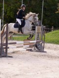 DSC07843 DSC07843