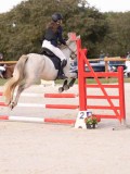 DSC07845 DSC07845