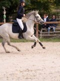 DSC07853 DSC07853
