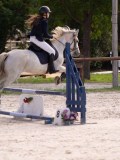 DSC07854 DSC07854