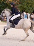 DSC07857 DSC07857