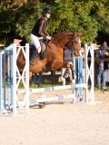 DSC06365 DSC06365