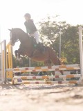 DSC06368 DSC06368