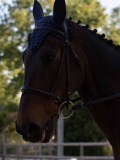 IMG_4122