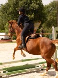 DSC04384 DSC04384