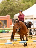 DSC01234 DSC01234
