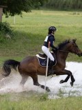 IMG_4064 IMG_4064