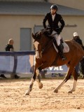DSC03462 DSC03462