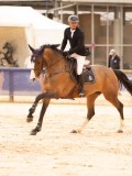 DSC00419 DSC00419