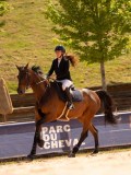 DSC06664 DSC06664