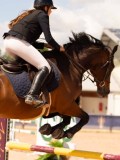 DSC06678 DSC06678