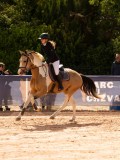 DSC06423 DSC06423
