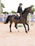 DSC04445 DSC04445