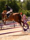 DSC02318 DSC02318