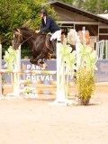 DSC07919 DSC07919