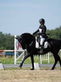 DSC07227 DSC07227