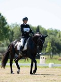 DSC07242 DSC07242