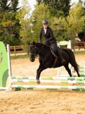 DSC08950 DSC08950