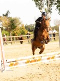 DSC07986 DSC07986