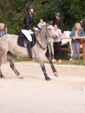 DSC07869 DSC07869