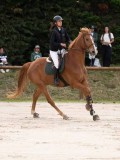 DSC05335
