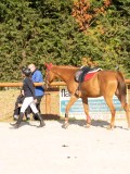 DSC00619