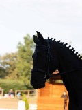 IMG_4326
