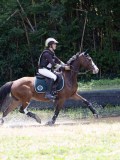 IMG_4942