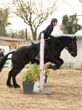 DSC04899 DSC04899