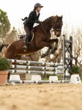 DSC05689 DSC05689