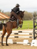 DSC05690 DSC05690