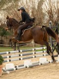 DSC05695 DSC05695