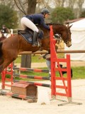 DSC06654 DSC06654