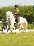 DSC02457