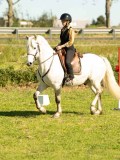 DSC04004