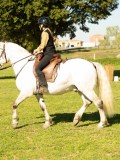 DSC04008