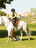 DSC04011