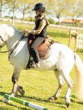 DSC04043