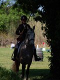 IMG_0052