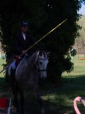 IMG_0053